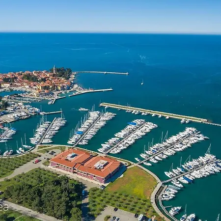 Apartman Tea Novigrad  Exterior photo