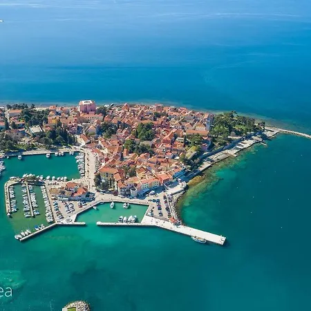 Apartman Tea Novigrad  Exterior photo